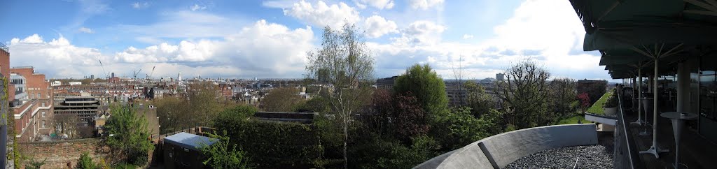 View from Kensington Roof Gardens by David Howkins