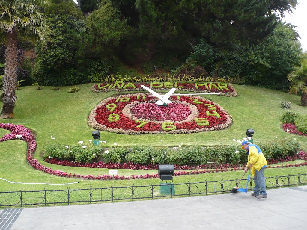 Reloj de flores Viña del mar by luz marina barmar