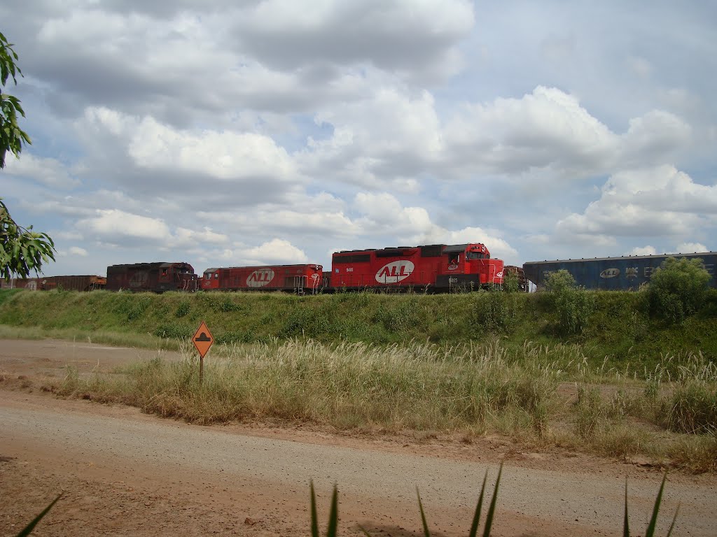 Transporte Ferroviário - Maringá- PR by CleuAlves