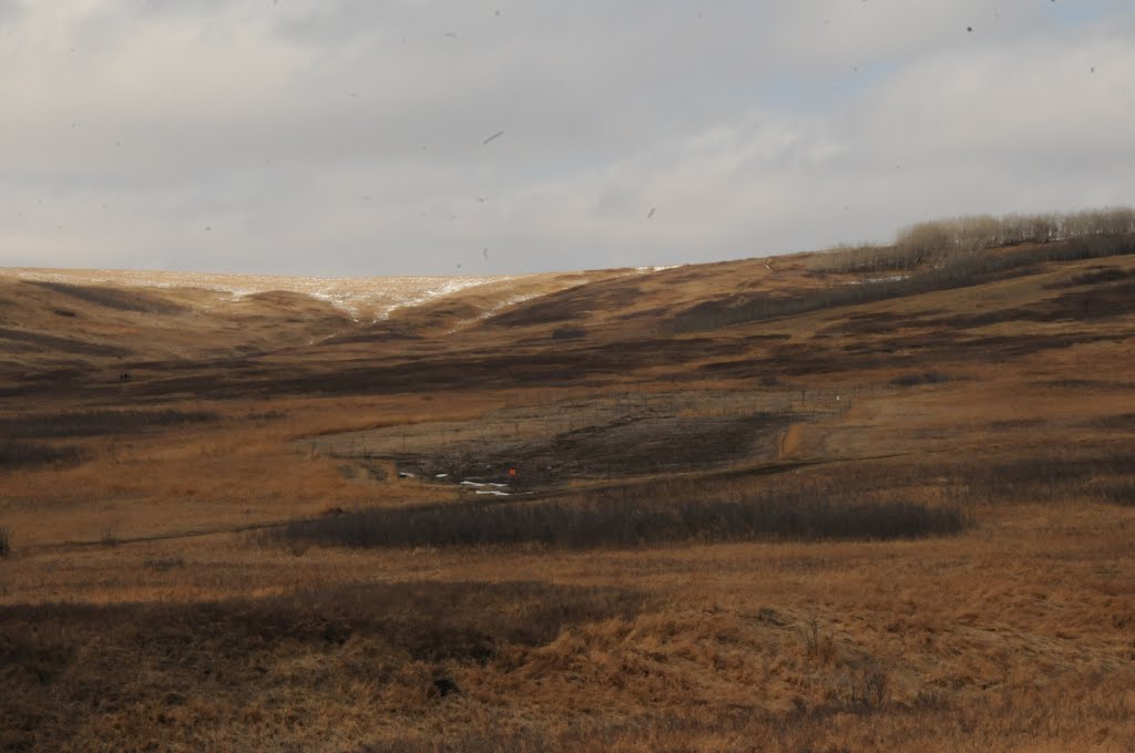 Place for some Hobbies ... Nose Hill Park Apr. /2012. by Tony Sterl