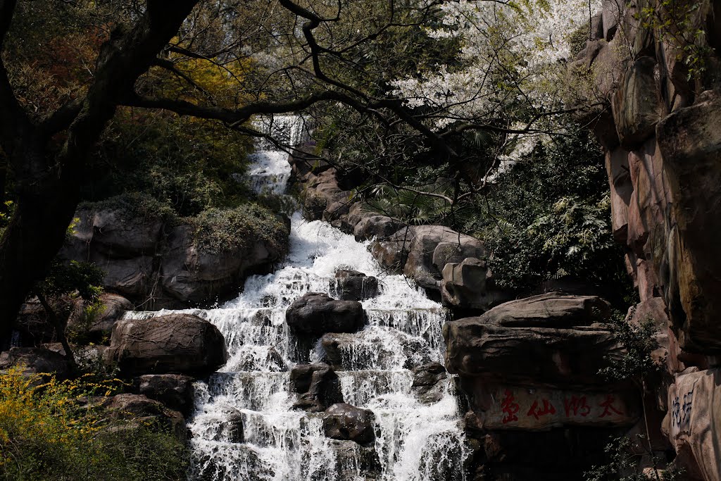 Spring in taihu lake by ??人渣