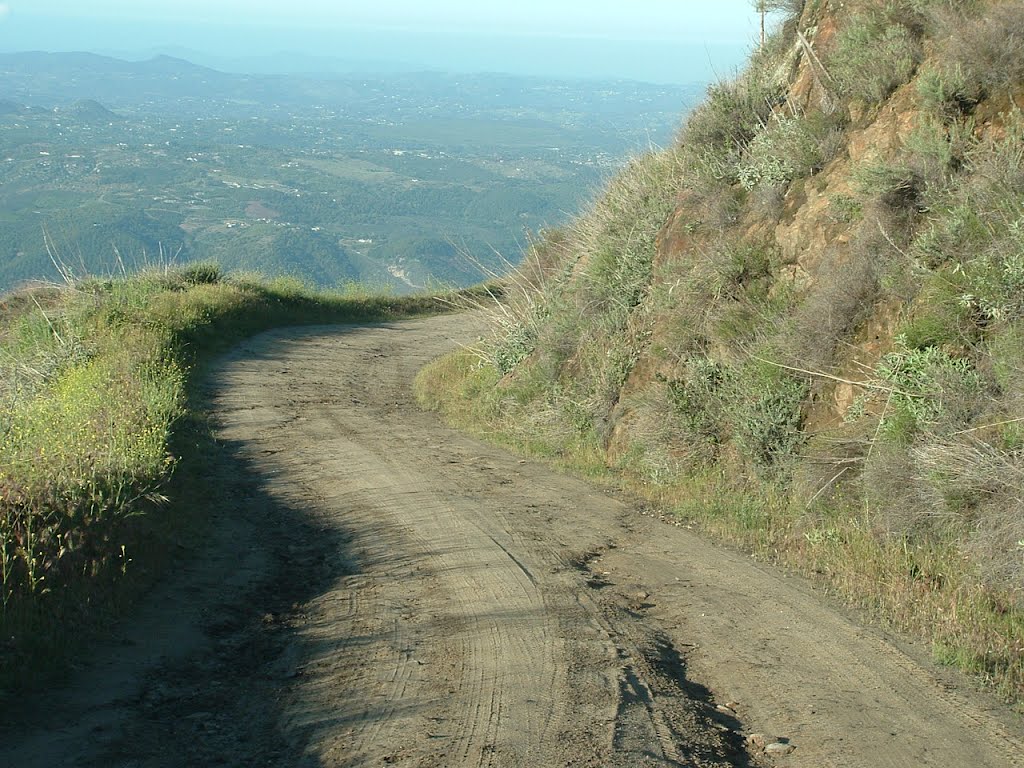 Nate Harrison Grade by Tim Koppenhaver