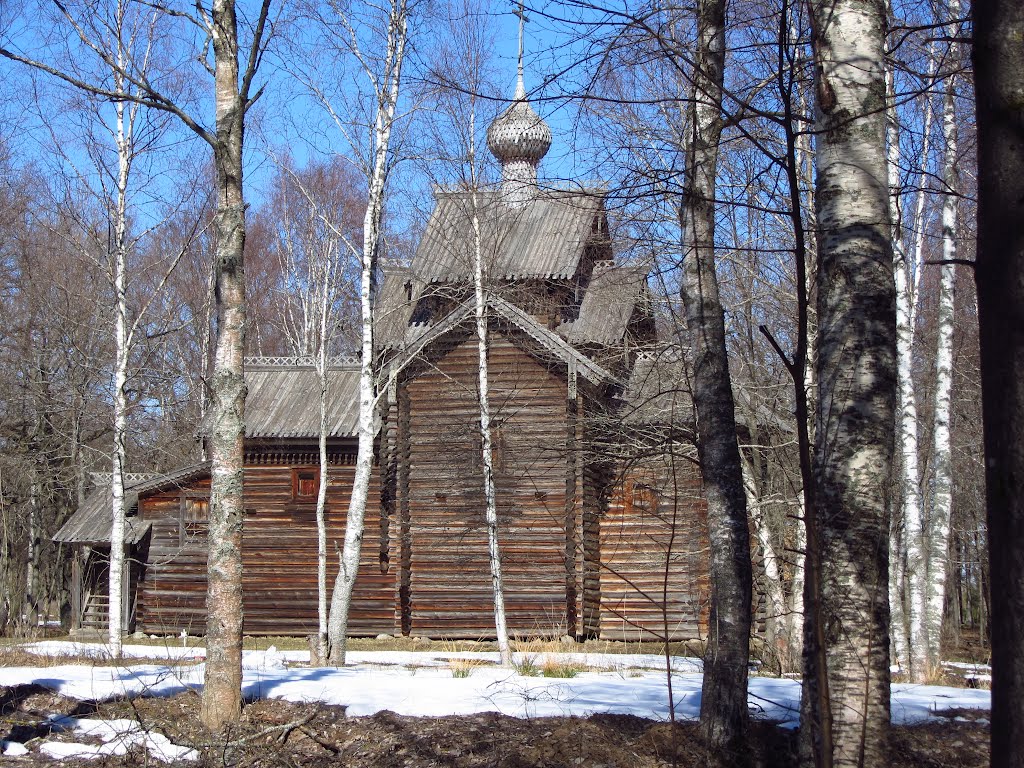 Новгород. Россия. Витославлицы. Музей деревянного зодчества / Novgorod. Russia. Vitoslavlitsy. Il museo dell'architettura di legno /Novgorod. Russia. Vitoslavlitsy. The museum of wooden architrecture by Andrei Antipin