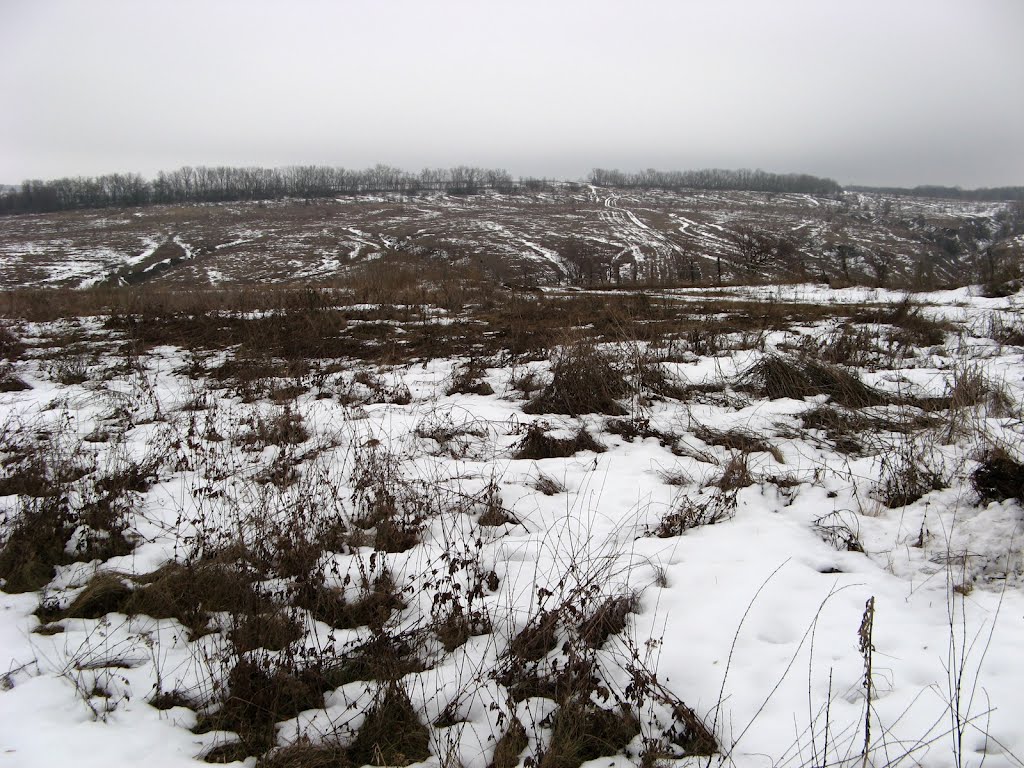 Podgorensky District, Voronezh Oblast, Russia by Trond Berntsen