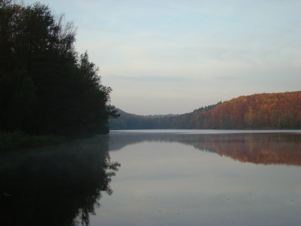 Ville (Untersee) Oktober 2011 by DortmundWestfalica