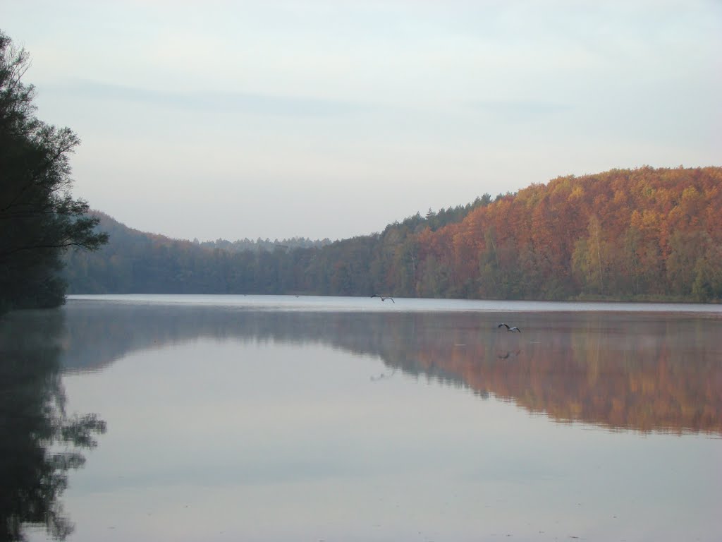 Ville (Untersee) Oktober 2011 by DortmundWestfalica