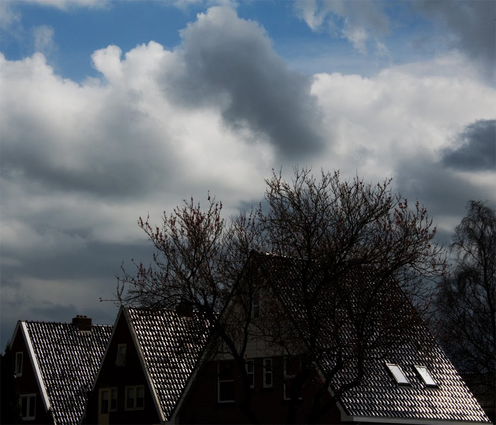 Harkema/rooftops by Harrie Muis