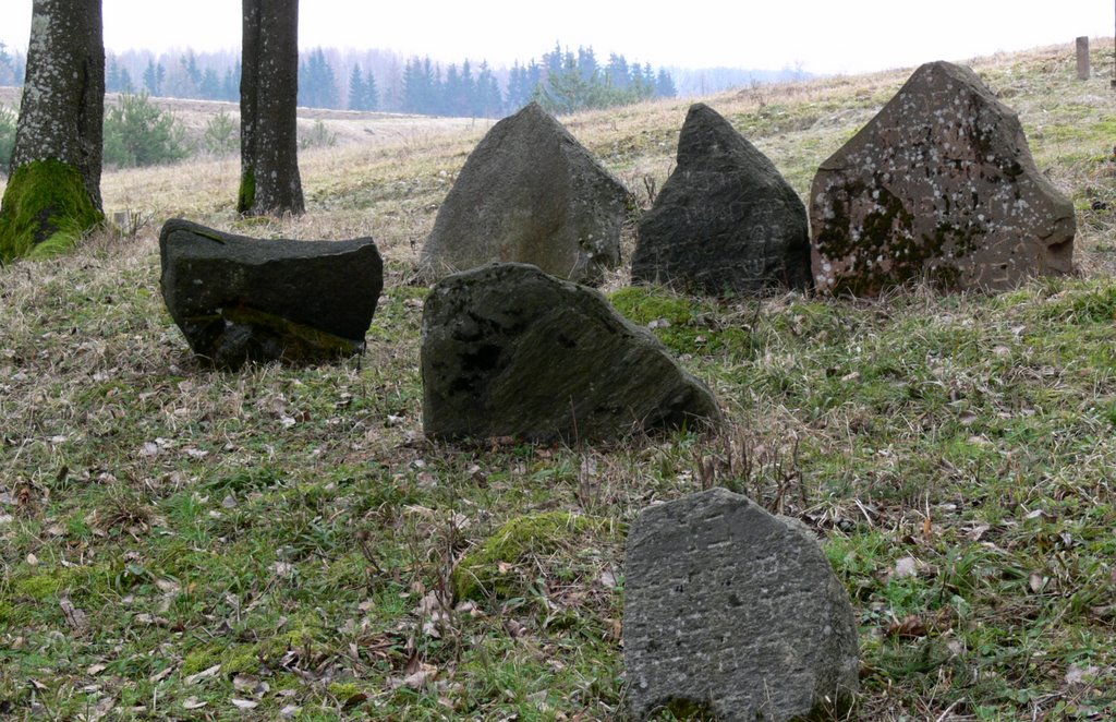 Jewess old cemetery near Siluva, Lithuania by Renatorius (Reno)