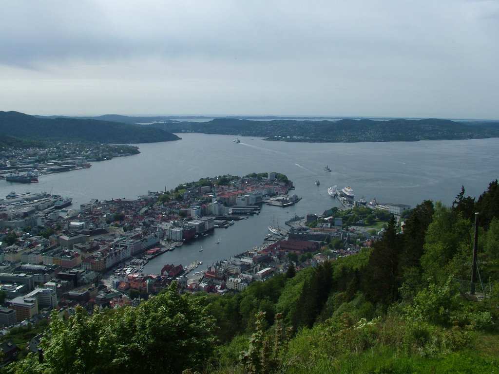 View of Bergen from Fløyen by PETER László