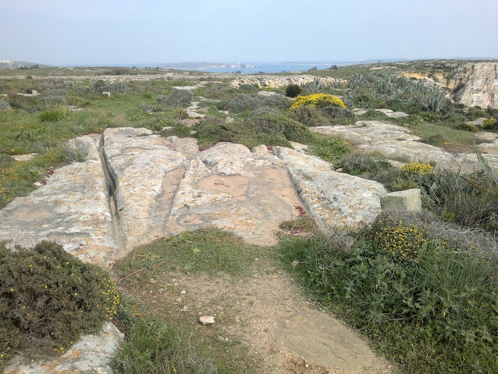 Cart Ruts near Ta´Cenk by Randolph Carter