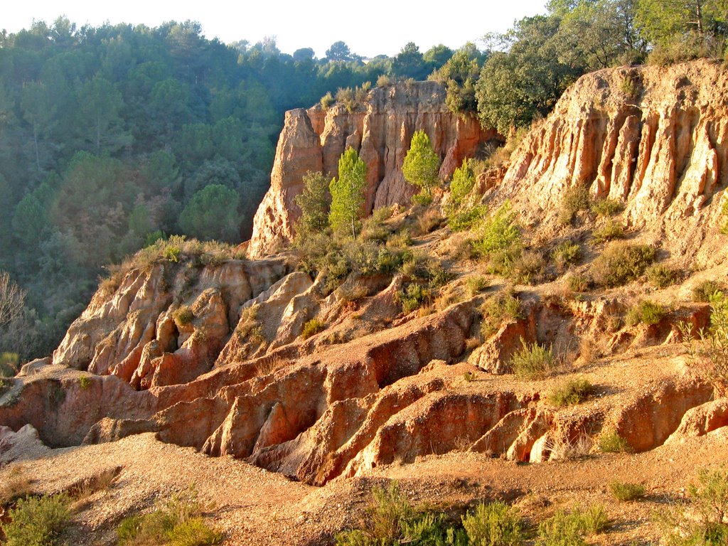 Les Flandes, argiles erosionades, zona de la Venta de Can Mussarro, entre Vallbona i Piera by joan miquel