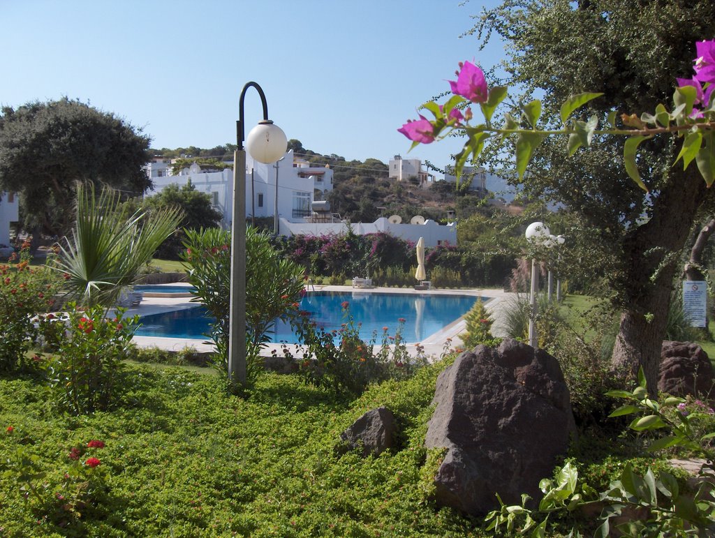 View of one of the swimming pools by Lyn Davies