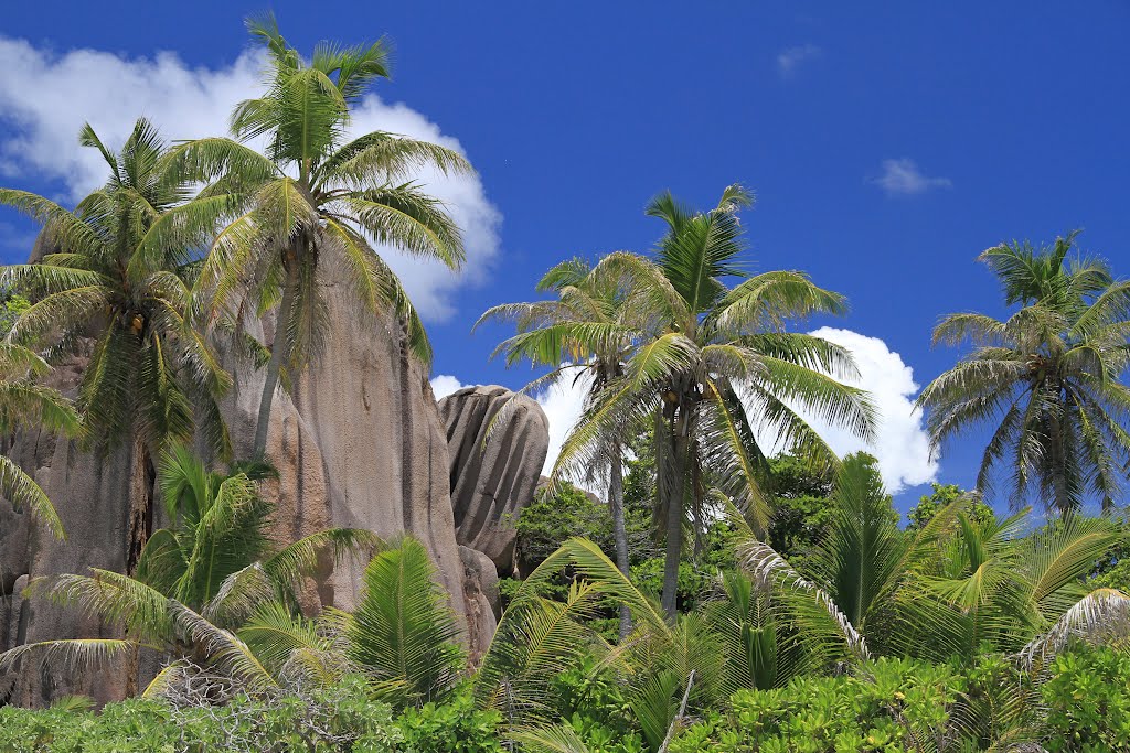 Grande Soeur, Seychelles- Heaven on Earth by Stéger Alíz