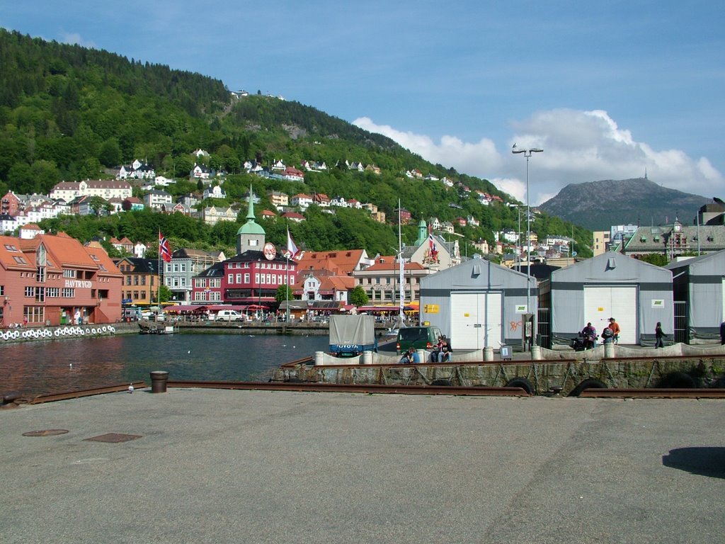 Fløyen and Ulriken in Bergen by PETER László