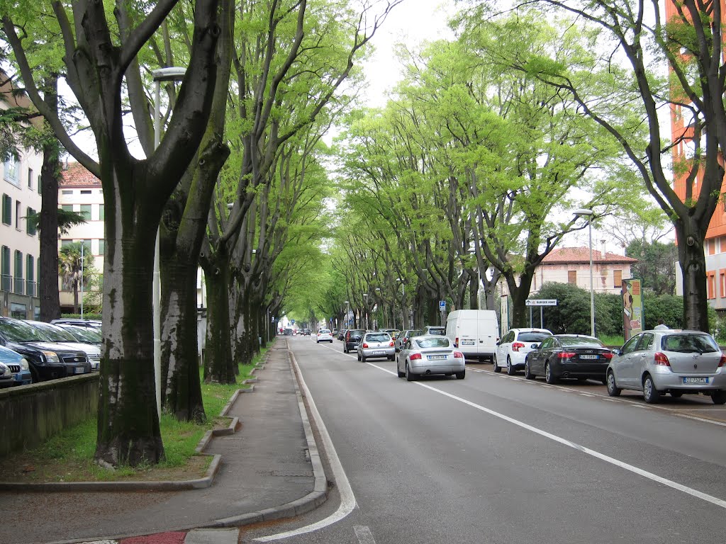 33170 Pordenone, Province of Pordenone, Italy by stephenpoon@italy