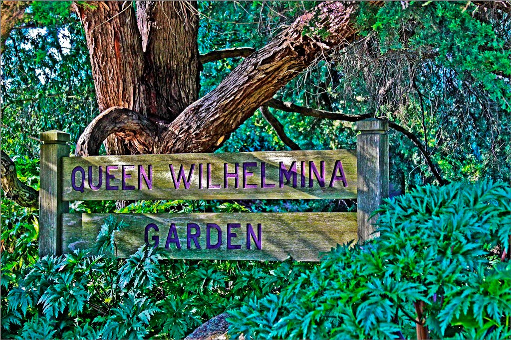 Queen Wilhelmina Garden. SF by Helio F