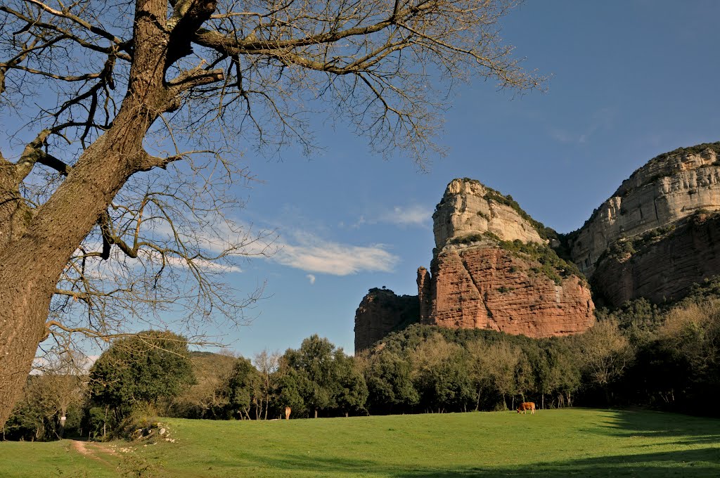 Puig de la Força des de Sau by Pere MAGRIÀ