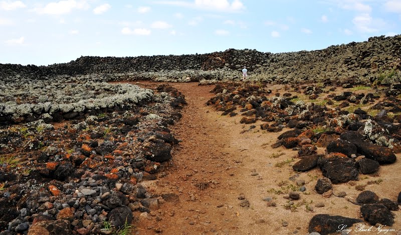 Mo'okini Luakini Heiau, Upolu Point, Hawaii by longbachnguyen