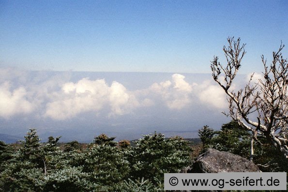 View from hallasan, Korea 2005 by OGee