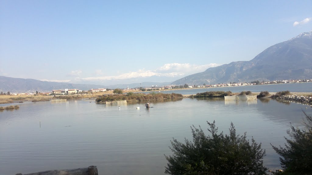 Foça, Unnamed Road, 48300 Fethiye/Muğla, Turkey by Hasan SARIHAN