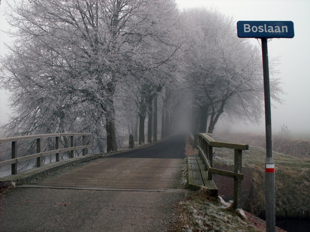 't Zandt Hoarfrost and fog by Tjeert.Mensinga ©