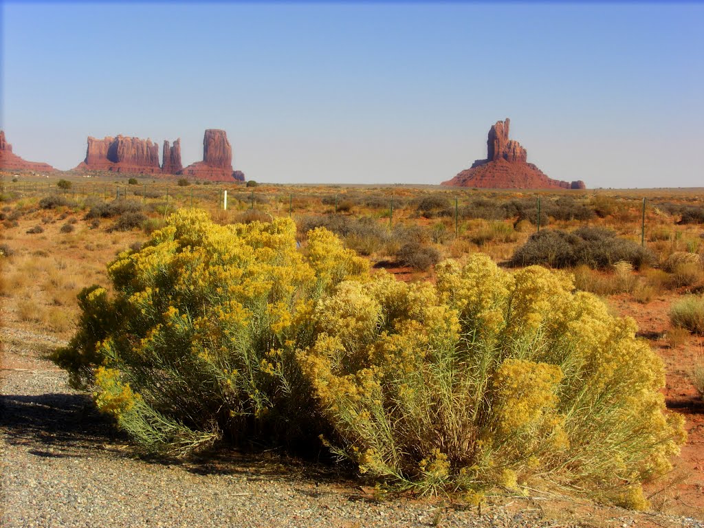 2pm, Monument Valley on US 163 - (Lt to Rt) Stagecoach, Bear & Rabbit, Castle & Big Indian Buttes. Nov 6, 2007 by Tom Dudones