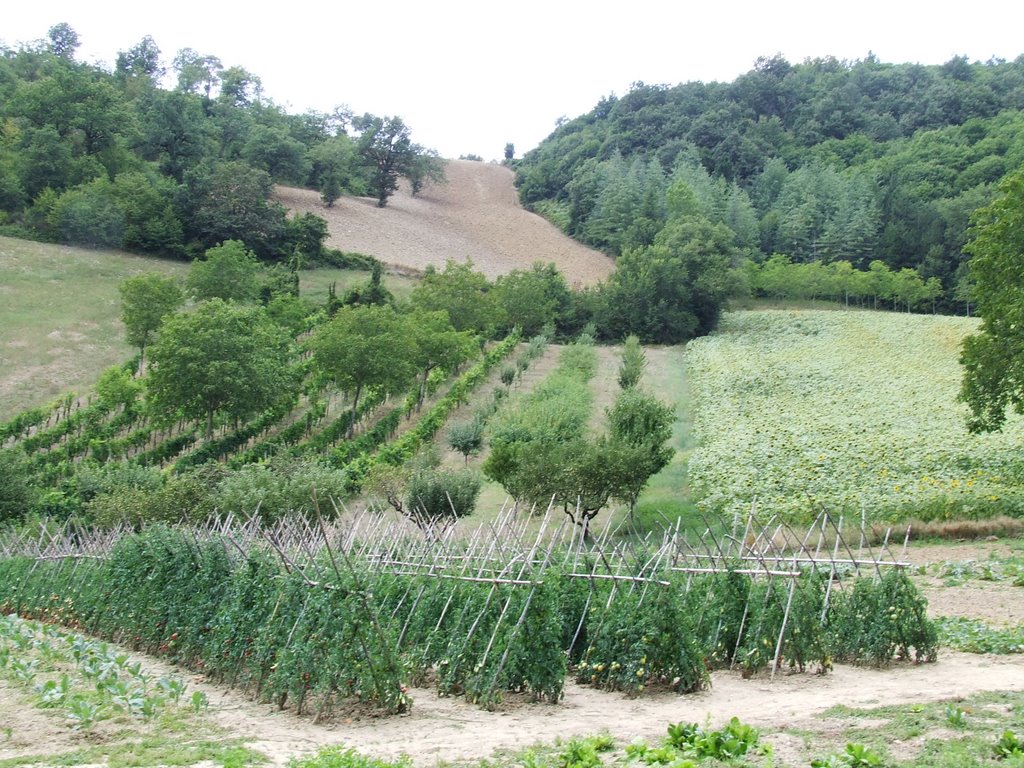 Orto e giardino del convento dei frati cappuccini di Renacavata - Camerino by p.salvatelli