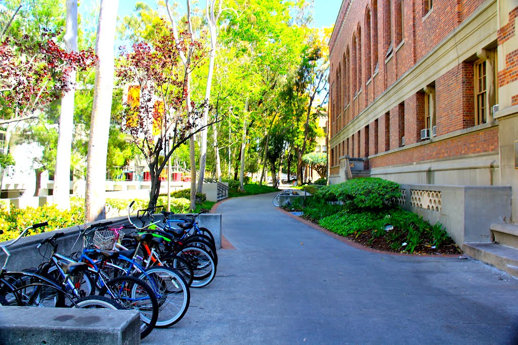 USC Campus, Los Angeles, CA by MICHAEL  JIROCH  &  www.michaeljiroch.com