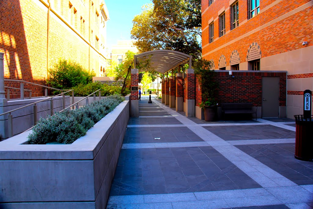 USC Campus, Los Angeles, CA by Michael Jiroch