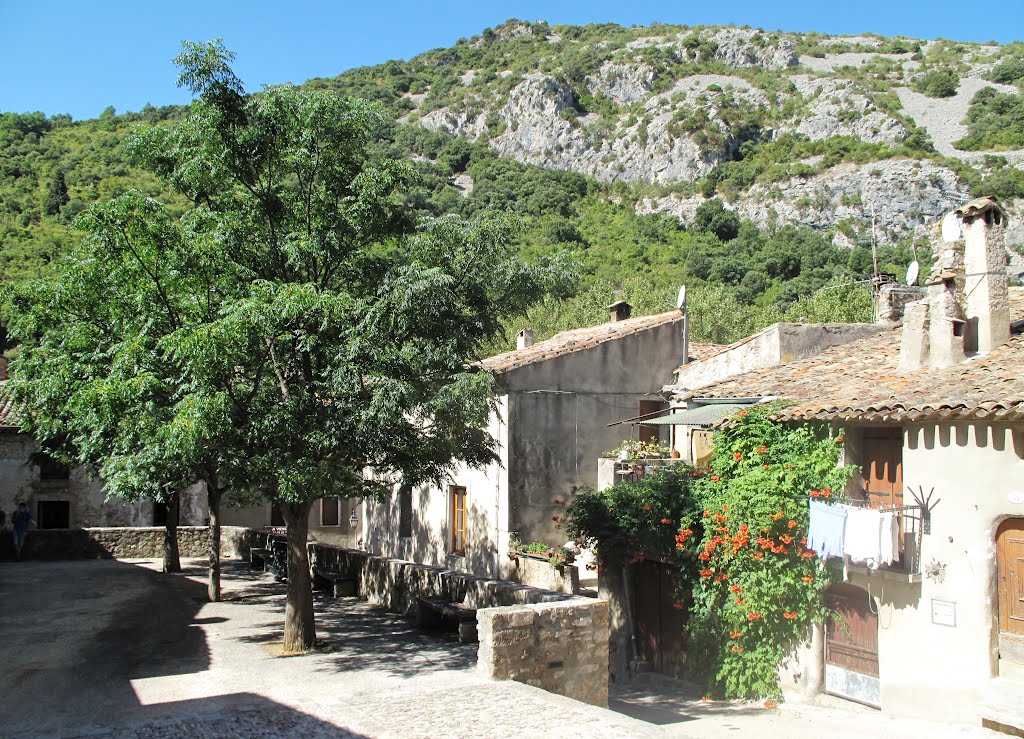 St Guilhem le desert 08-2009 by philippe salgarolo