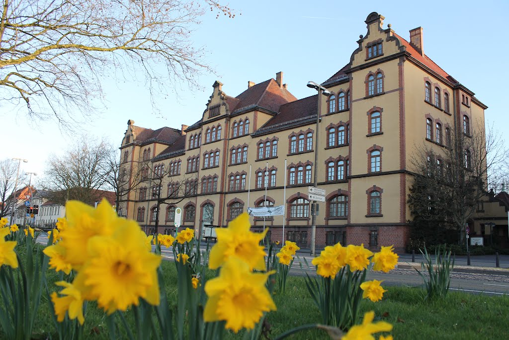 Landesbibliothek am Pferdmarkt by obrien26382