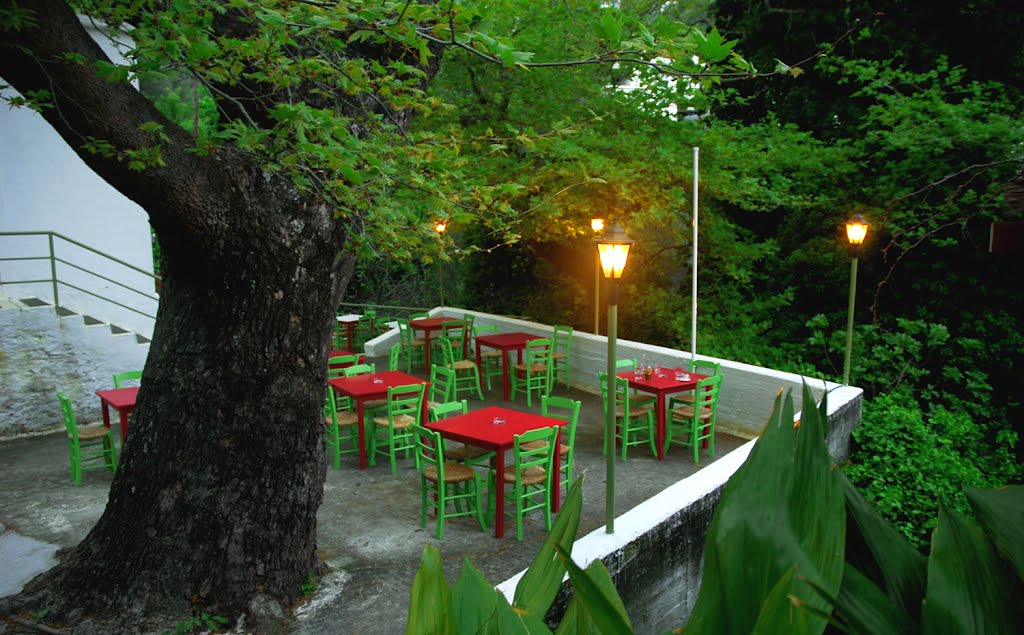 Traditional tavern in Menites, Andros island, Greece by DaviNet