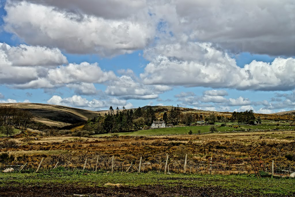 Dartmoor Forest, UK by TonyWalker Studio4t1