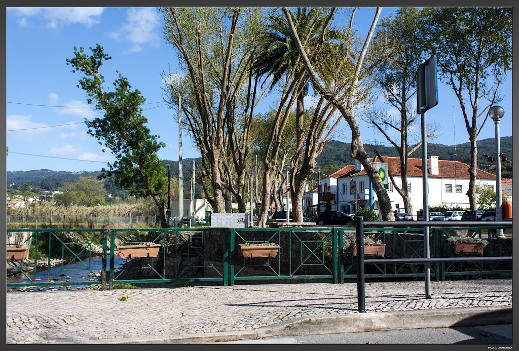 Estrada Colares - Sintra by Paulo Moreira