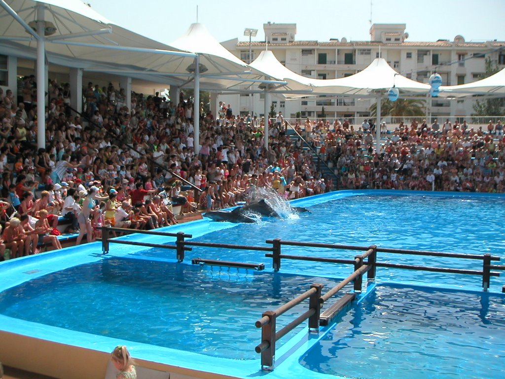 Marineland, Calvia by s.bartoszewski