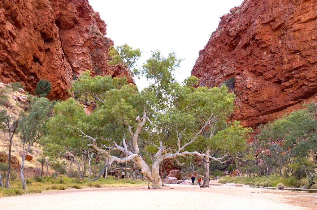 Simpson's Gap, West MacDonnell Ranges, Central Australia by Rod Martin