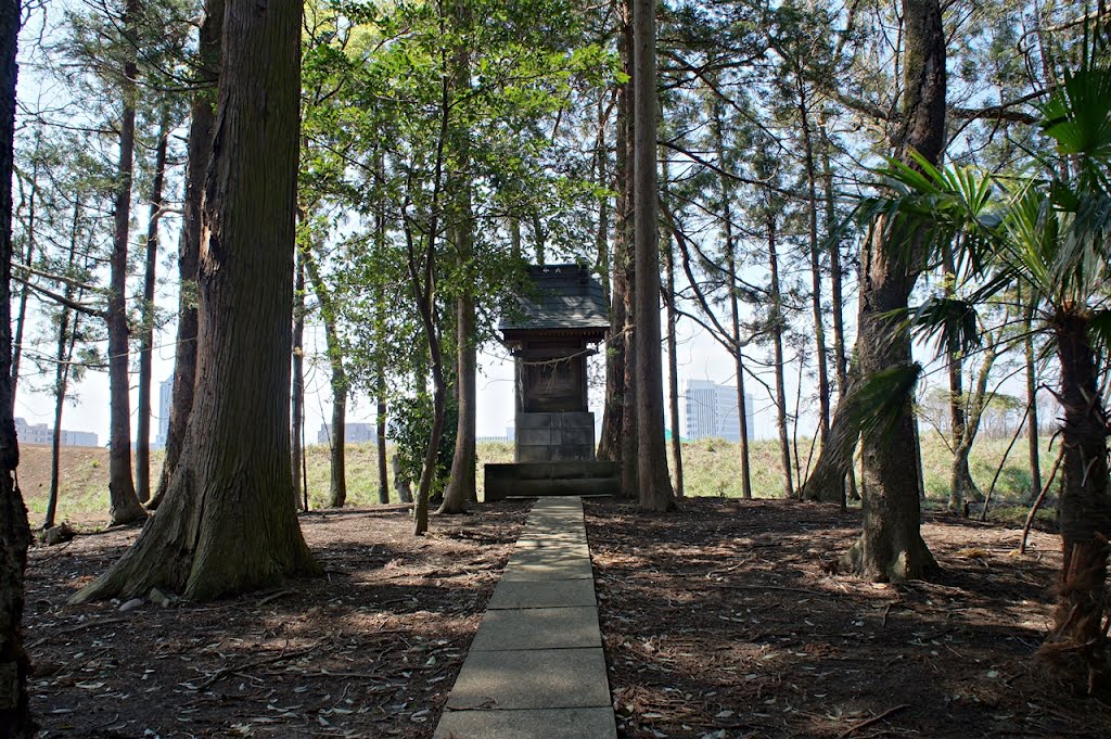 弁財天 -Benzaiten Shrine- by Saruman8000