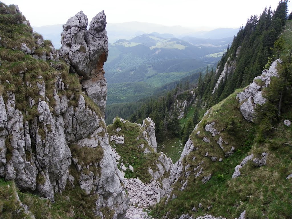 Zarnesti, Romania by laligr