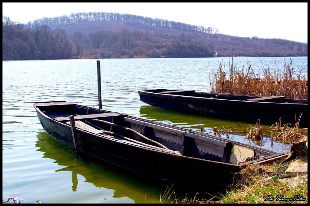 Szálka by Zoltán Vecsernyés