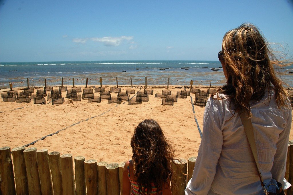 Nursery of Turtles (Projeto TAMAR) by Mauricio F. Pinho