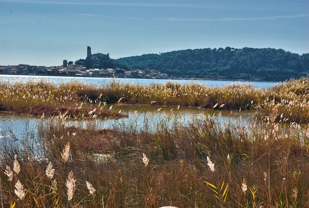 11430 Gruissan, France by Télémack