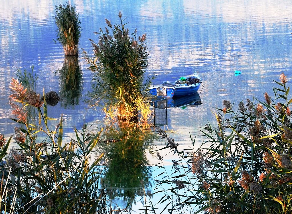 Ioannina, Greece by ioannis amerou chasi…