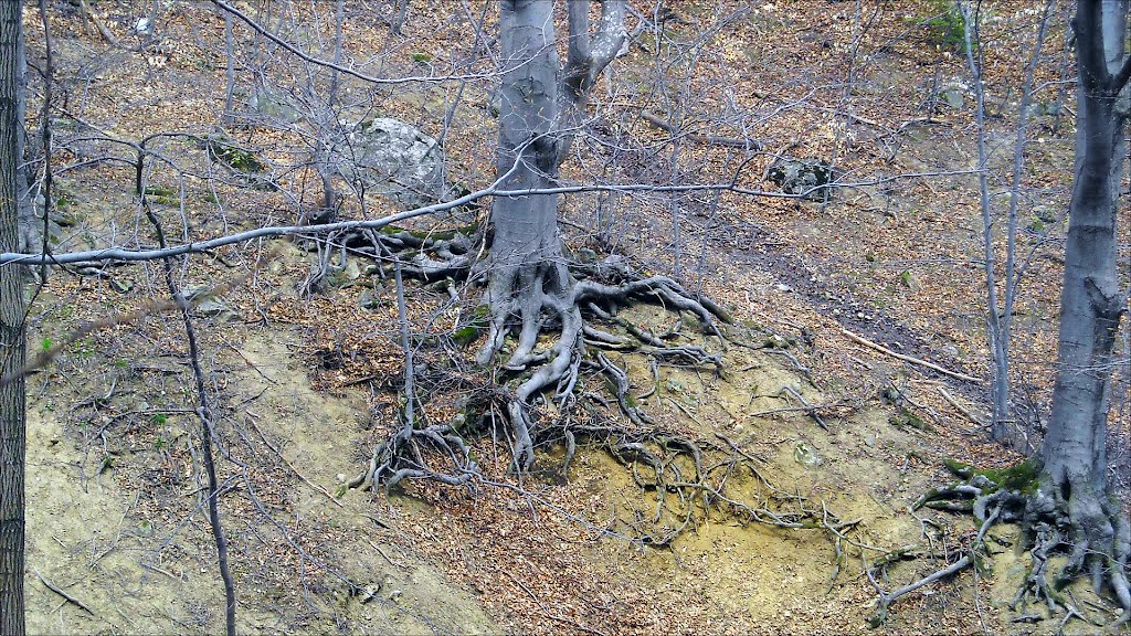 Rayon Vitosha, Bulgaria by A. Marinov (amary)