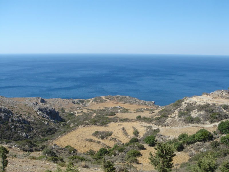 View to sea by Alexander Kalinich