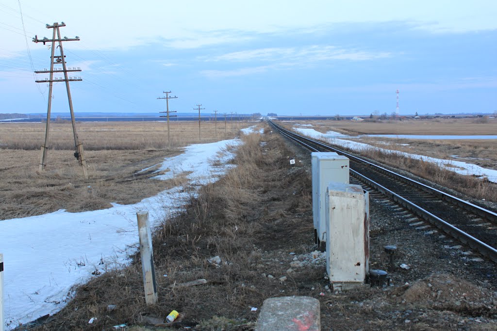 Train train, comin' down, down the line by James Ryen