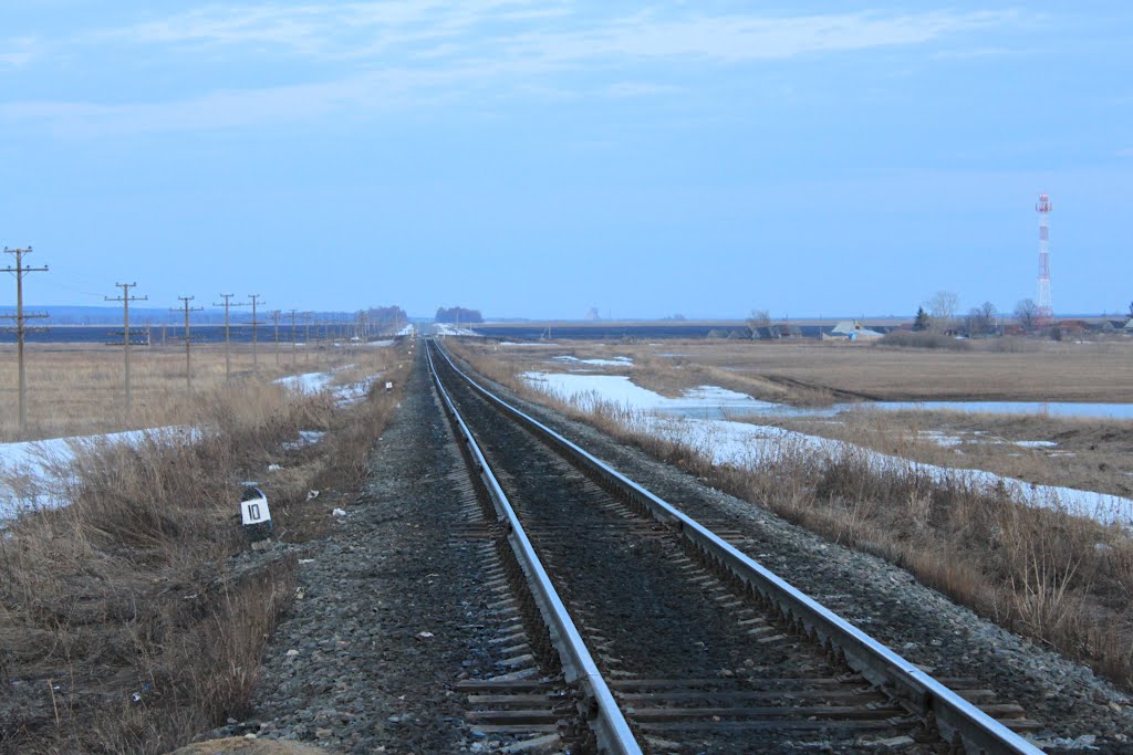 A train by James Ryen