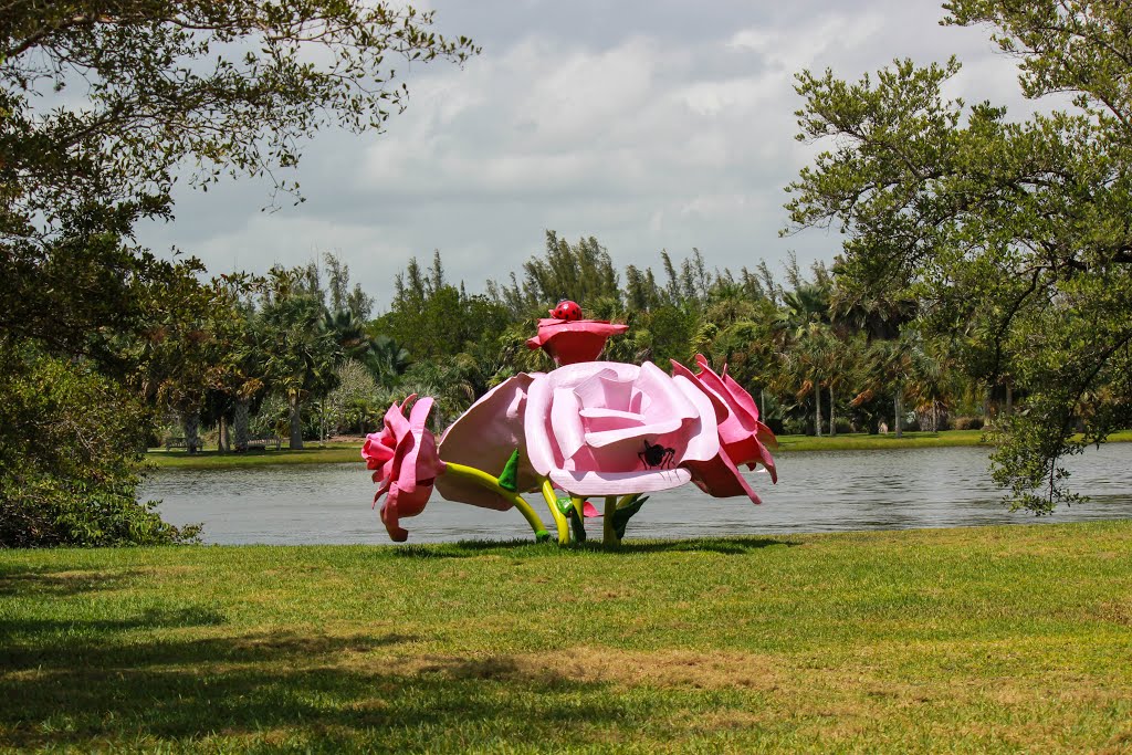 Fairchild Tropical Botanic Garden by Emilio Portuondo