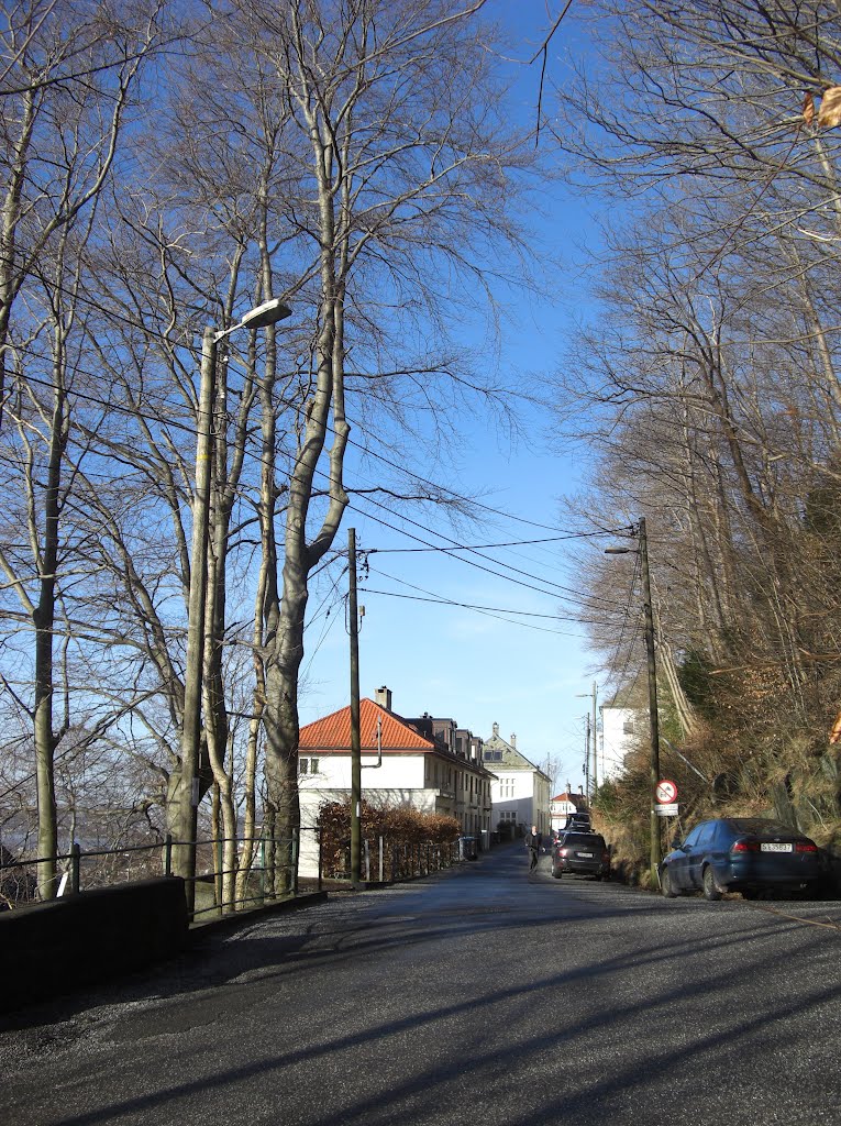 The road to Leitet in february sunshine by Mona Lygre