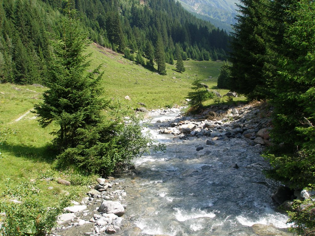 Oberiss alm river valley by wendyemlyn