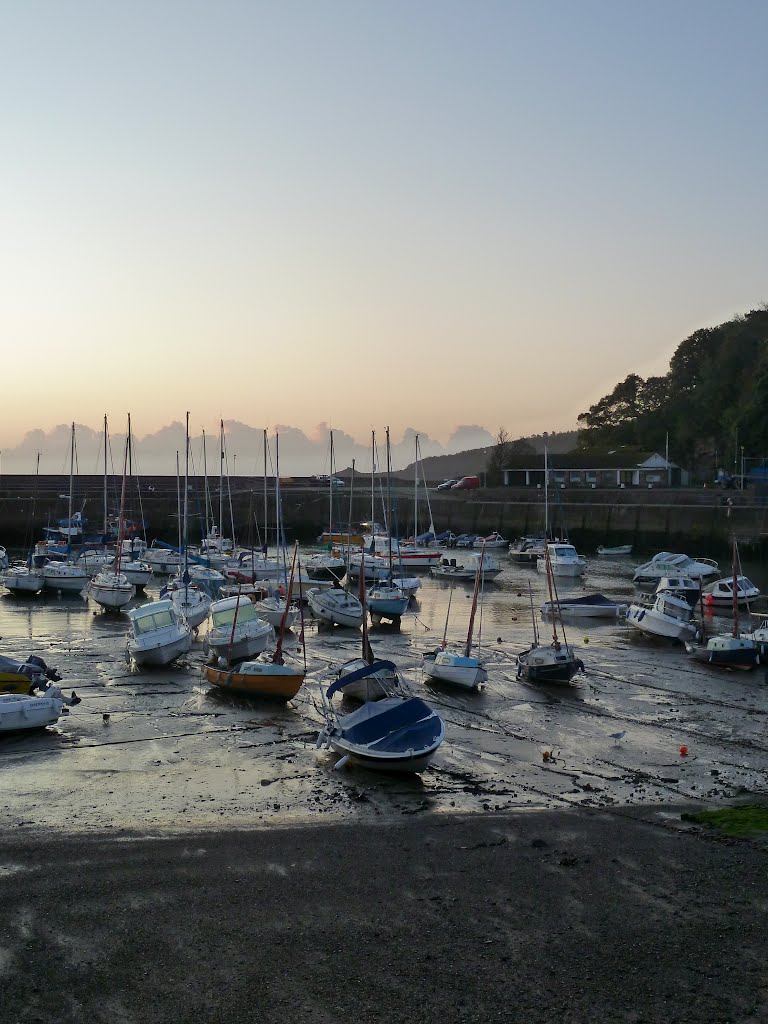 Saundersfoot Harbour by d0ct0r-f